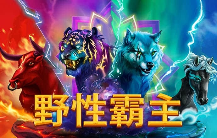 196官方网站下载